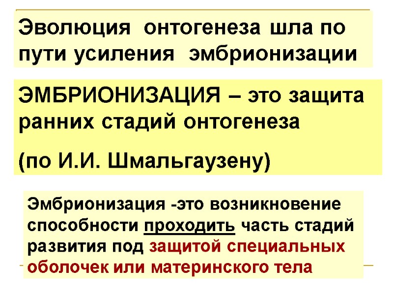 Эволюция онтогенеза шла по пути усиления эмбрионизации ЭМБРИОНИЗАЦИЯ – это защита Эволюция онтогенеза шла по пути усиления эмбрионизации ЭМБРИОНИЗАЦИЯ – это защита